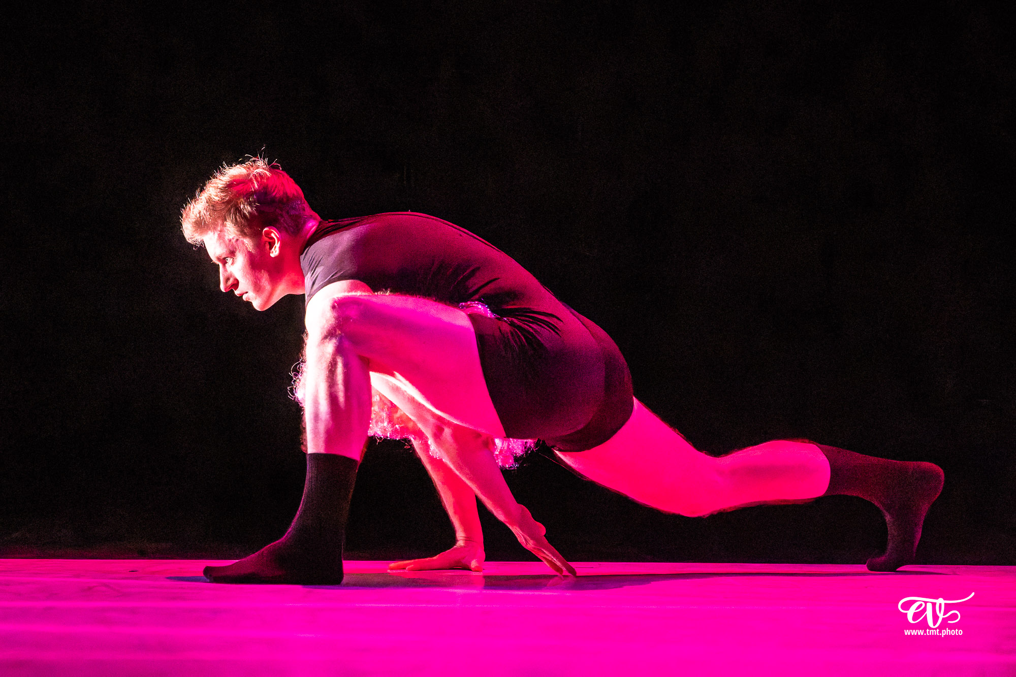 A4 (COMME LA FEUILLE) CIE CHICOS MAMBO